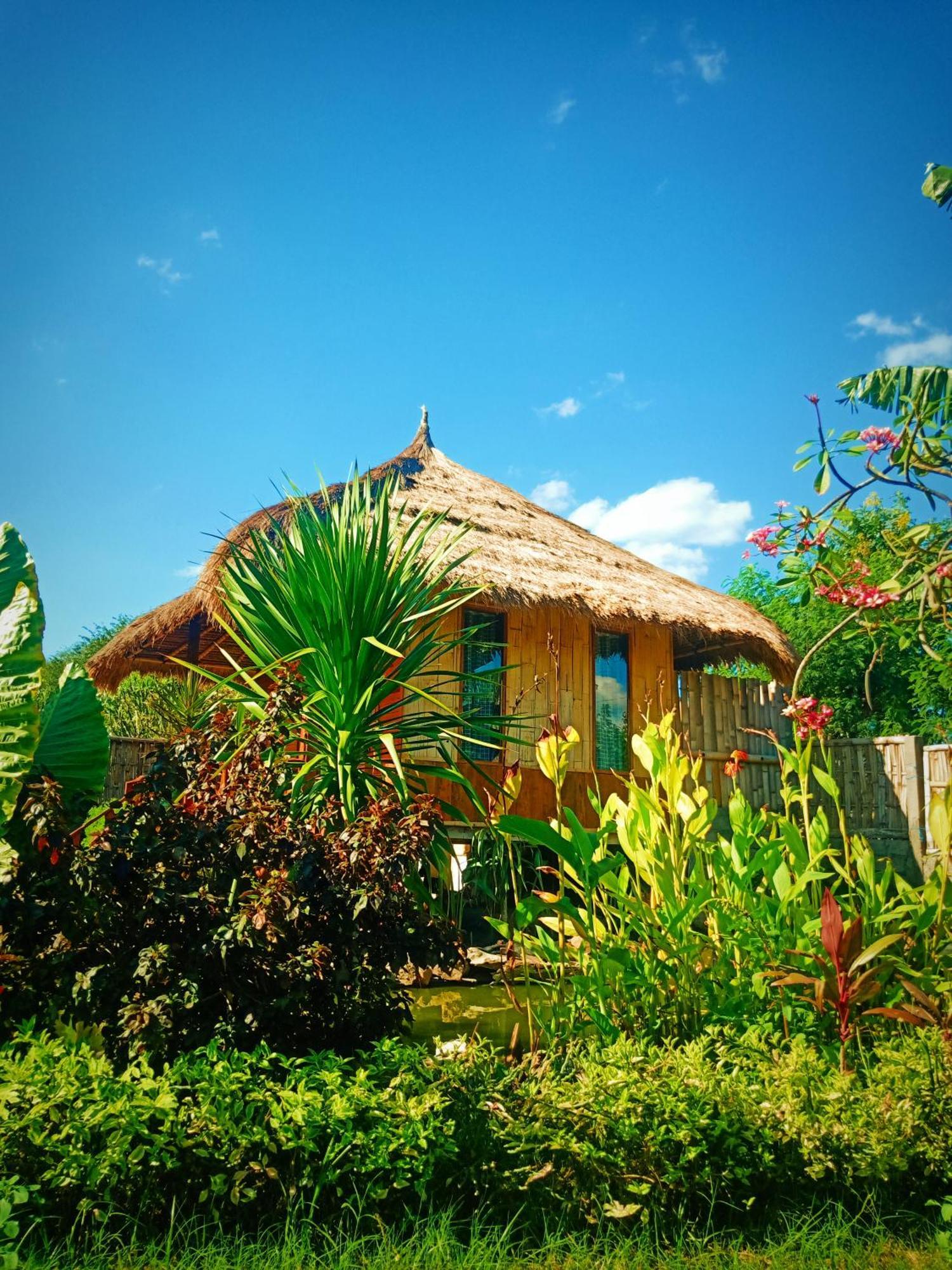 Umah Kayu 2-Menjangan Homestay Banyuwedang Exterior photo