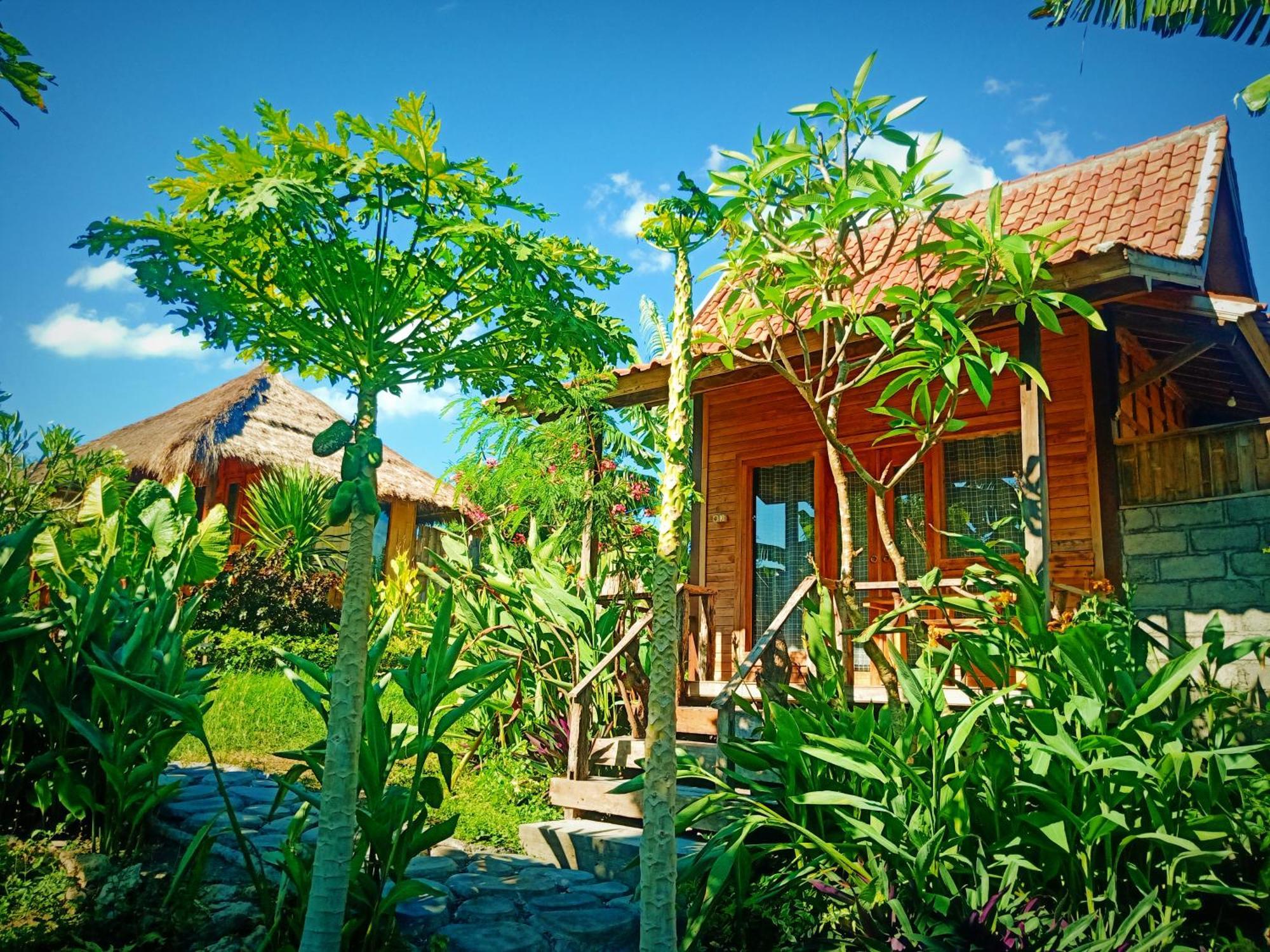 Umah Kayu 2-Menjangan Homestay Banyuwedang Exterior photo