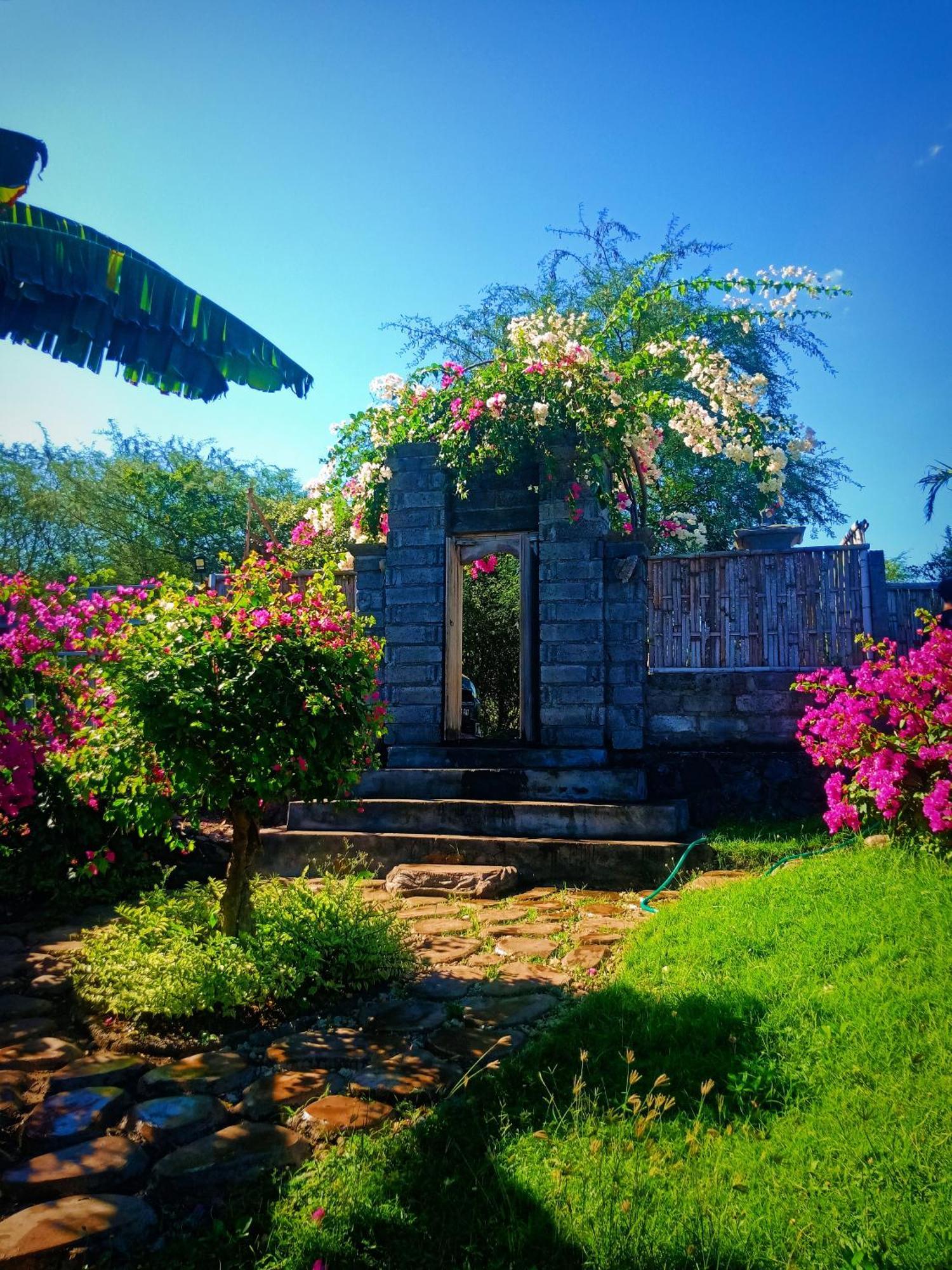 Umah Kayu 2-Menjangan Homestay Banyuwedang Exterior photo