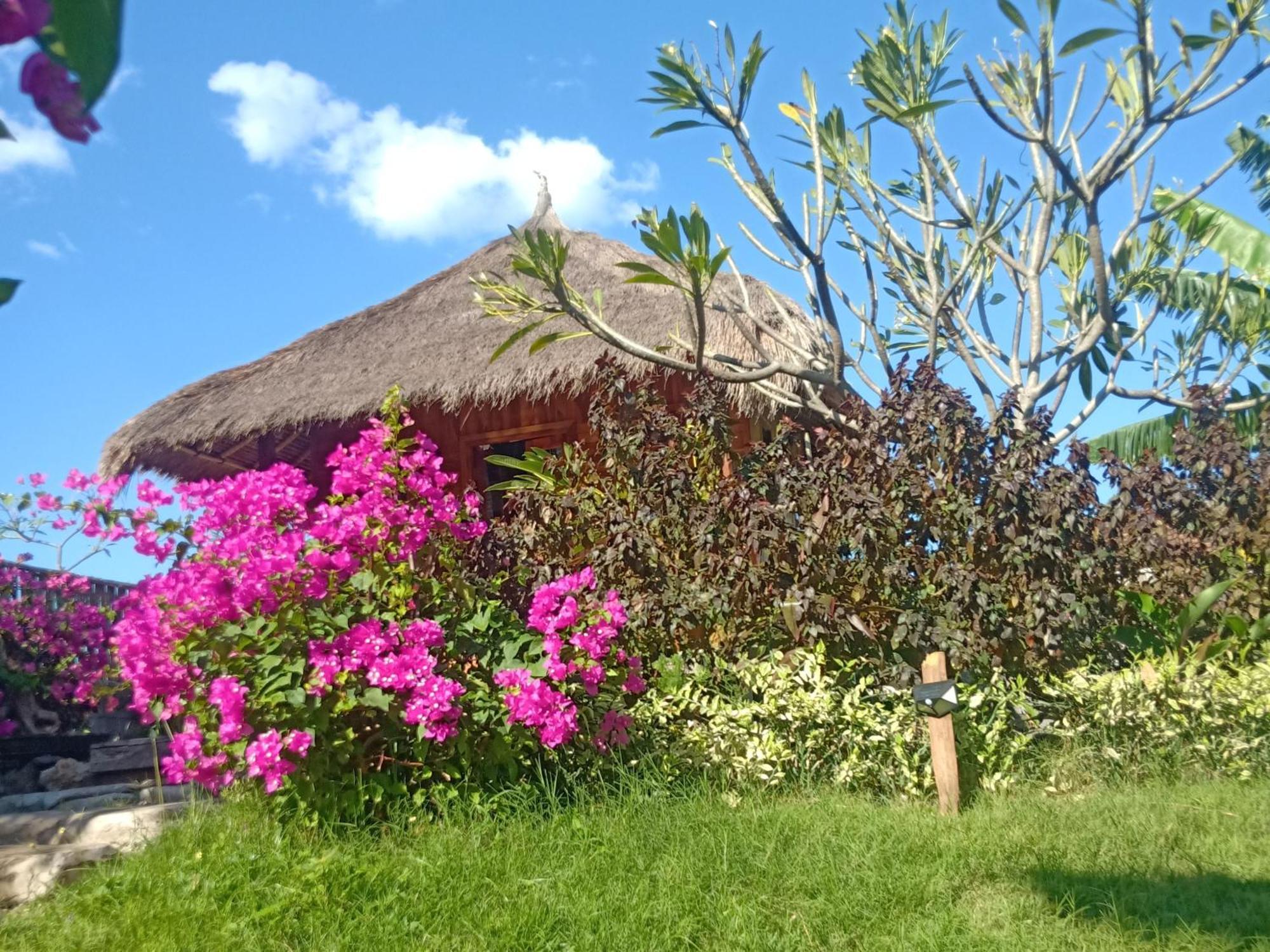 Umah Kayu 2-Menjangan Homestay Banyuwedang Exterior photo